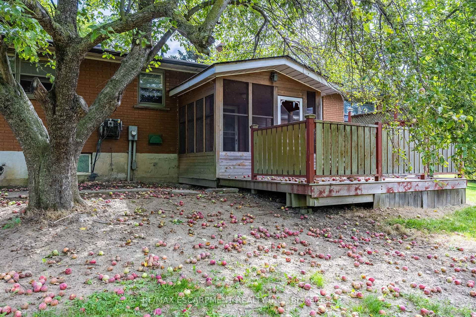 107 Erie Street • Haldimand, ON photo 24