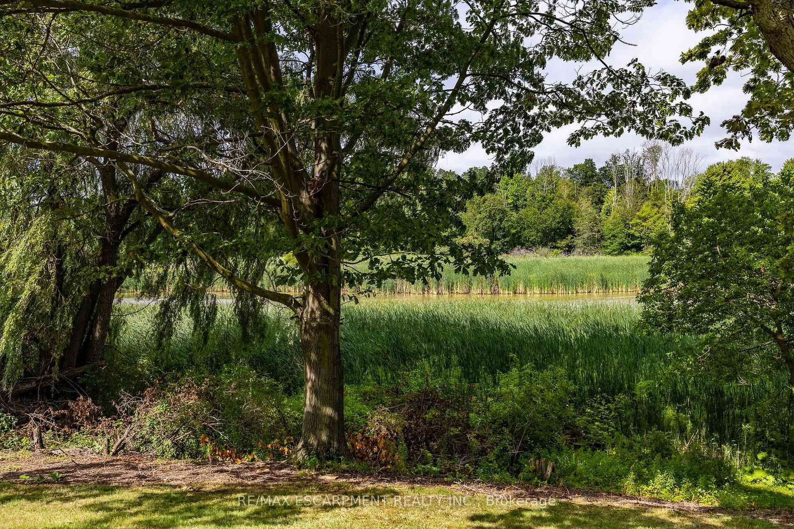 107 Erie Street • Haldimand, ON photo 36