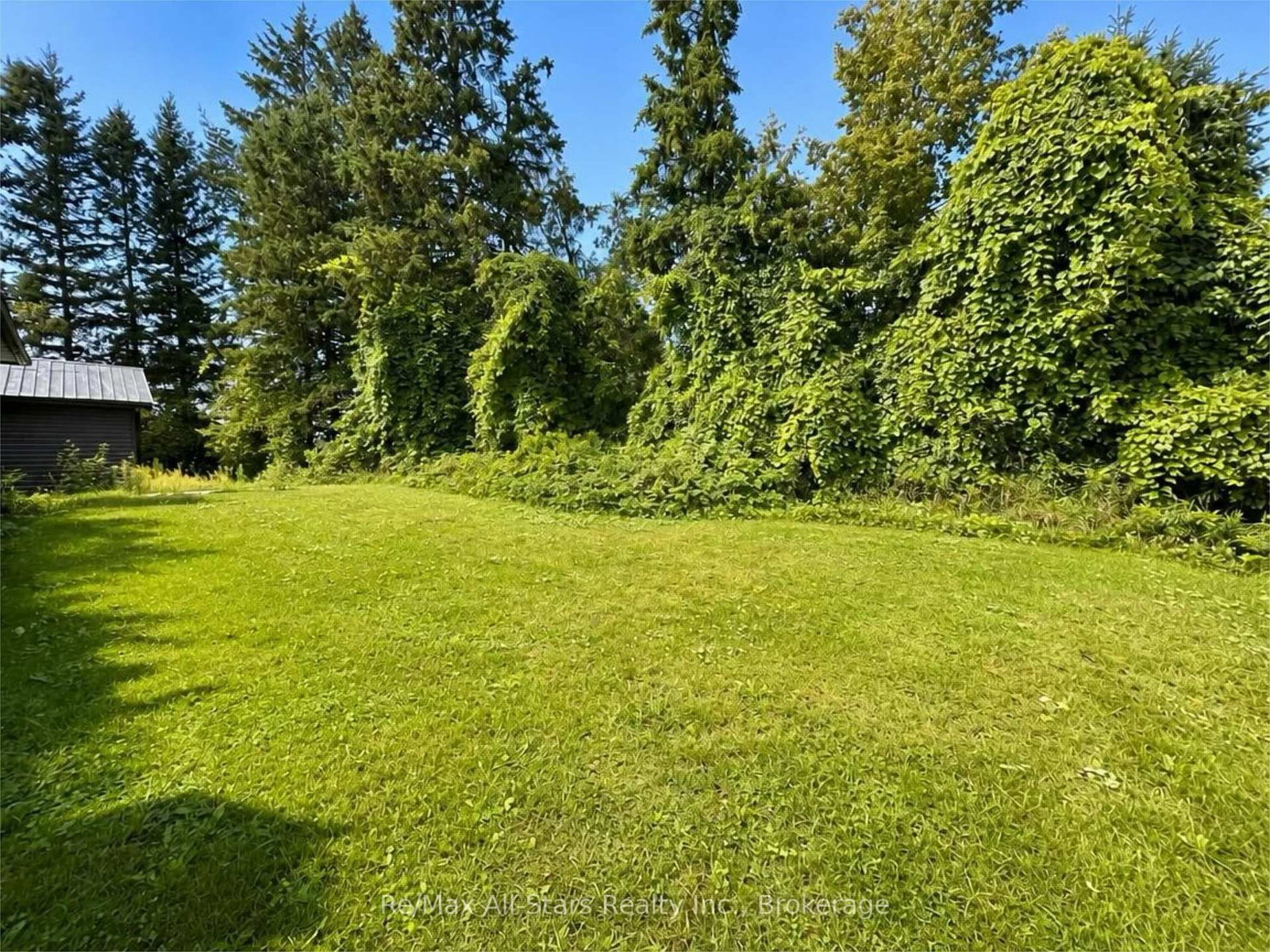 815 County Road 8 Road • Kawartha Lakes, ON photo 21