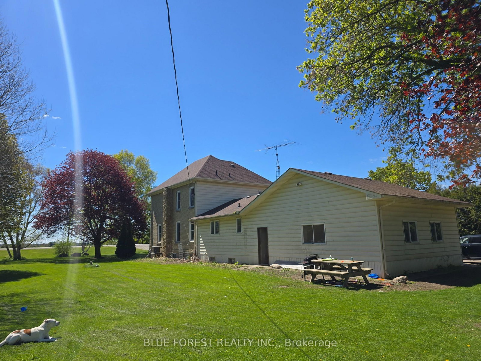 32630 Talbot Line • Dutton/Dunwich, ON photo 10