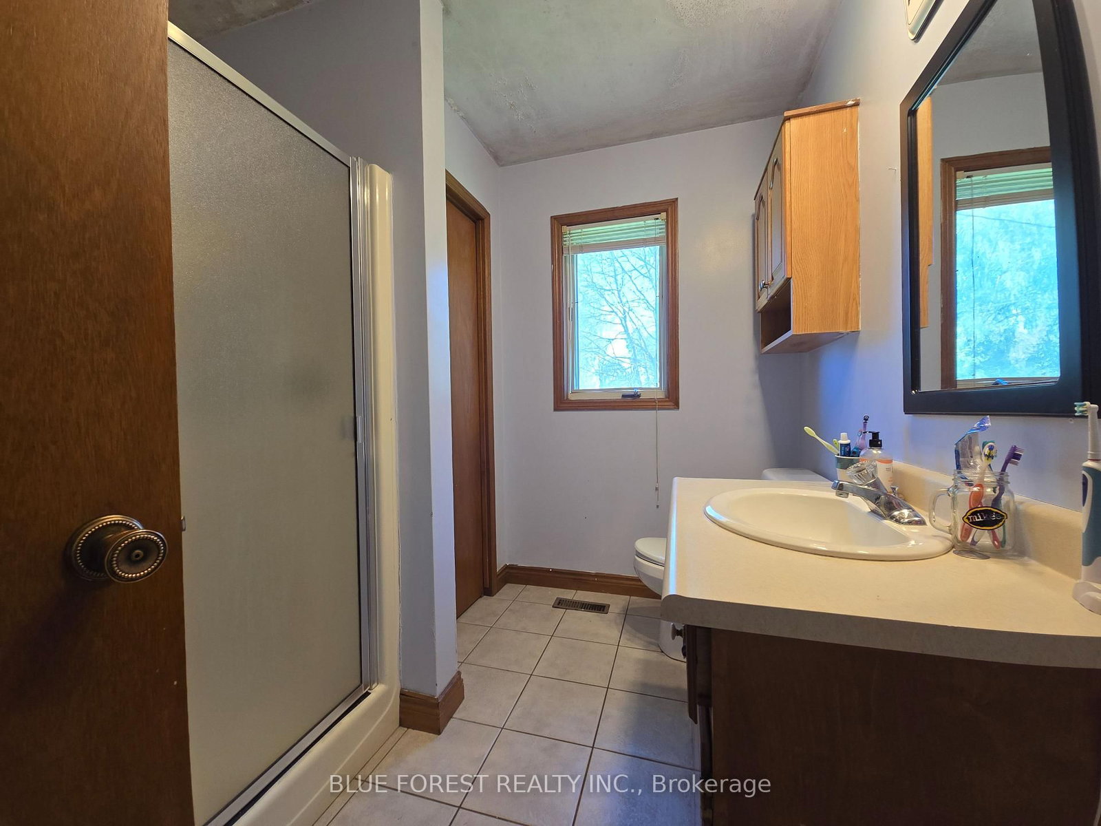 32630 Talbot Line • Dutton/Dunwich, ON photo 14