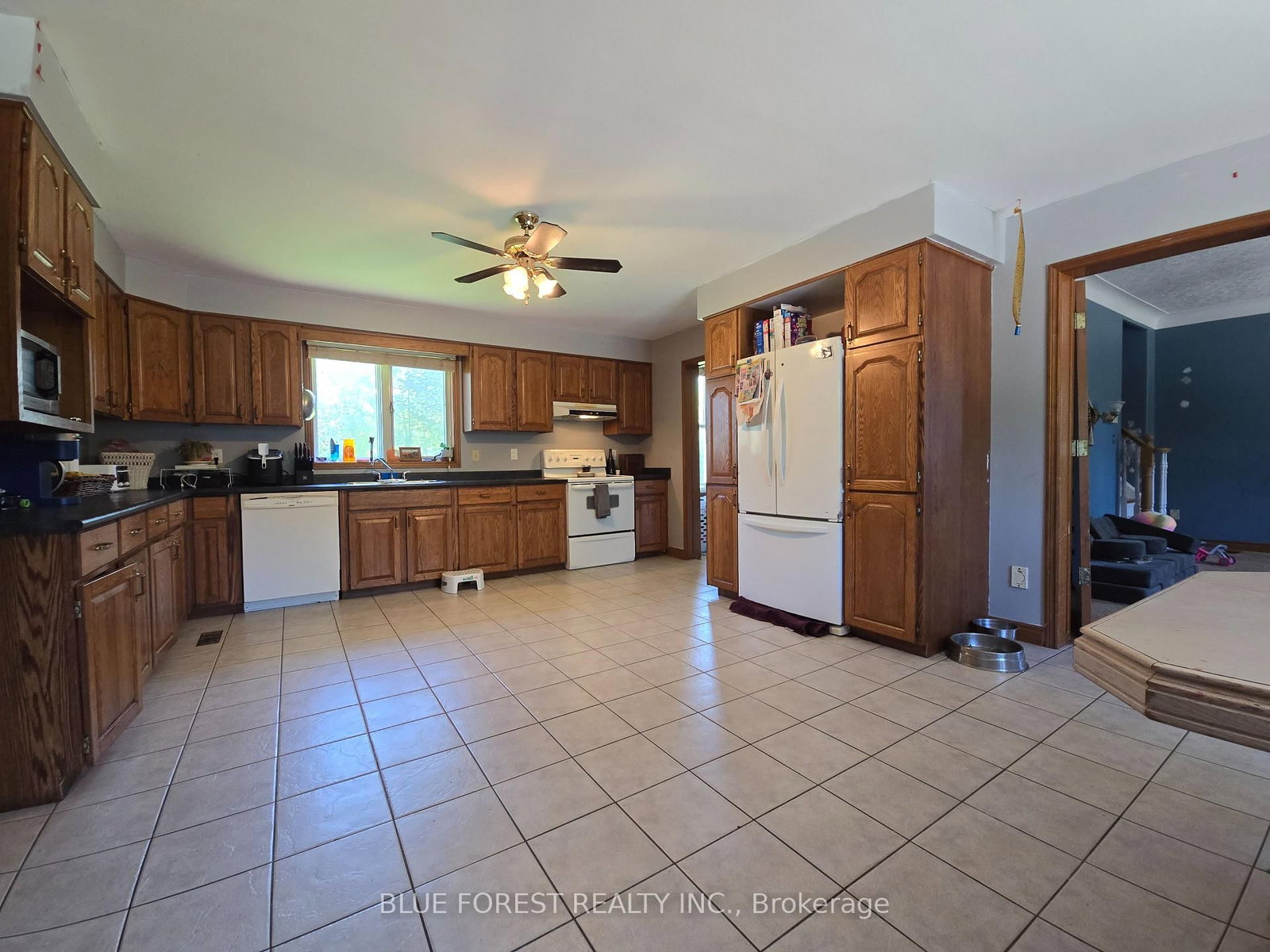 32630 Talbot Line • Dutton/Dunwich, ON photo 17