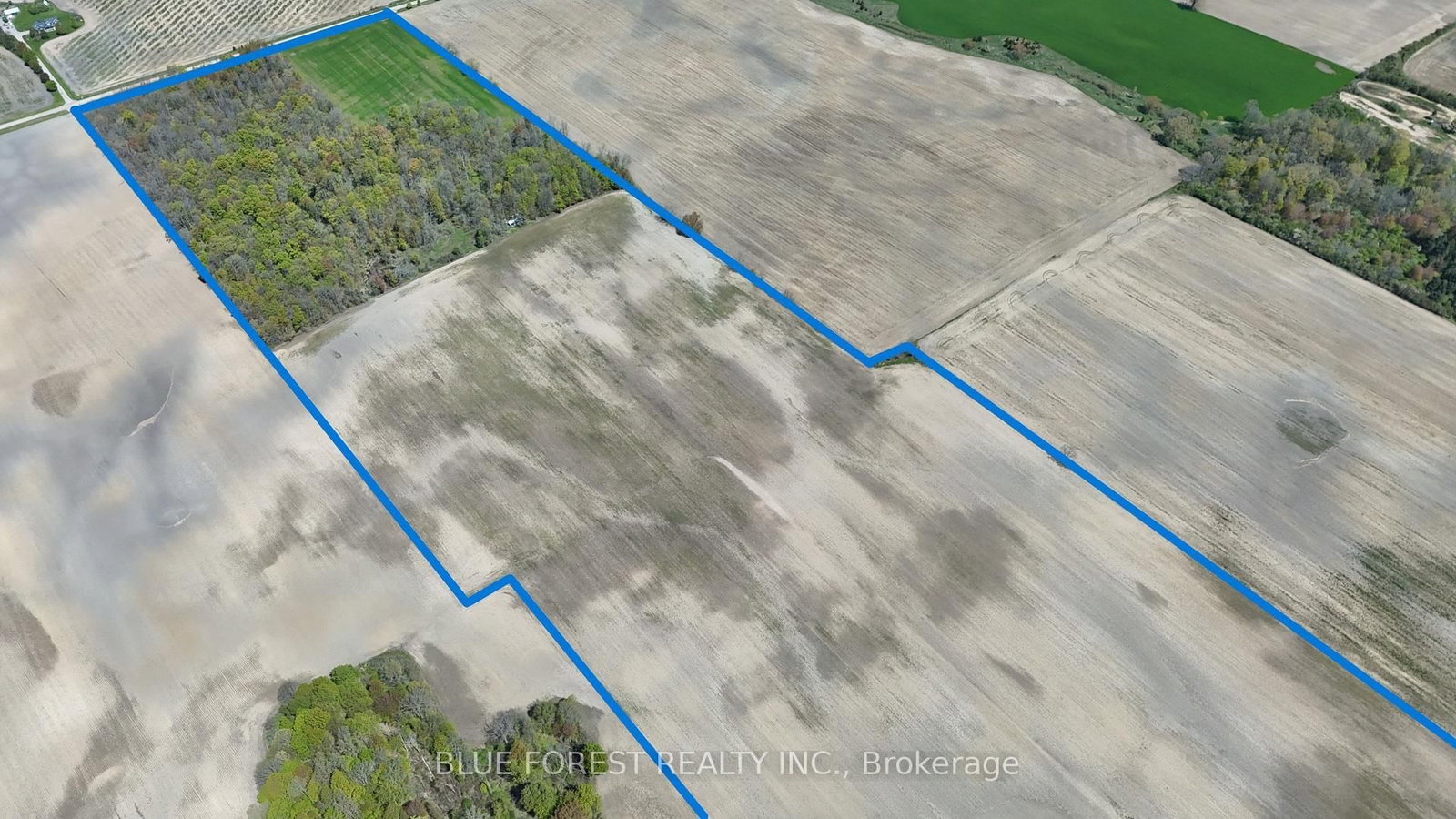 32630 Talbot Line • Dutton/Dunwich, ON photo 5