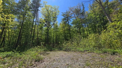 N/A County Road 30 • Trent Hills, ON photo 4