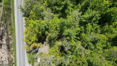 N/A County Road 30 • Trent Hills, ON photo 6