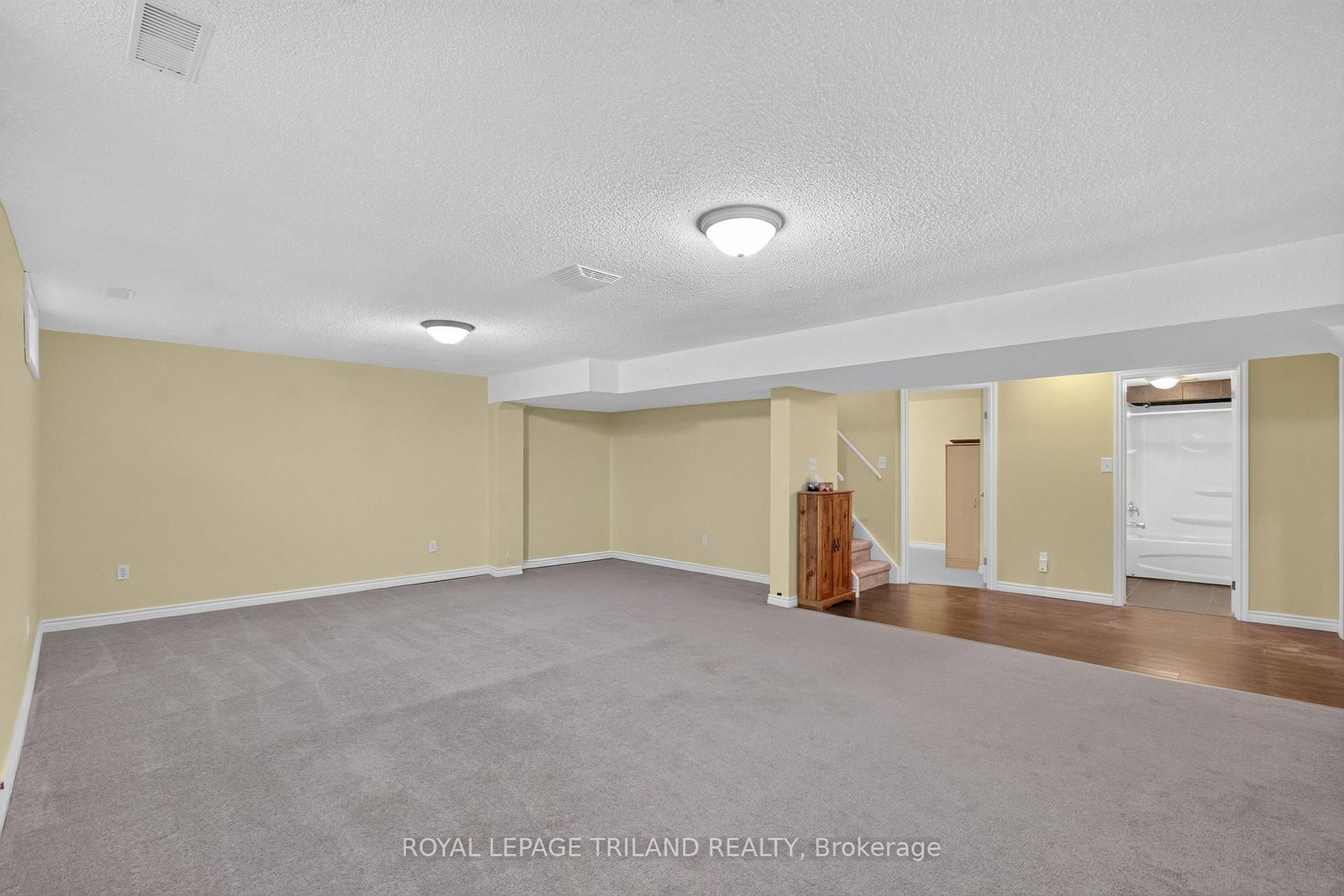 43 Bonnie Place • St. Thomas, ON photo 27