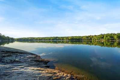 3102 Twelve Mile Bay Road • Georgian Bay, ON photo 8