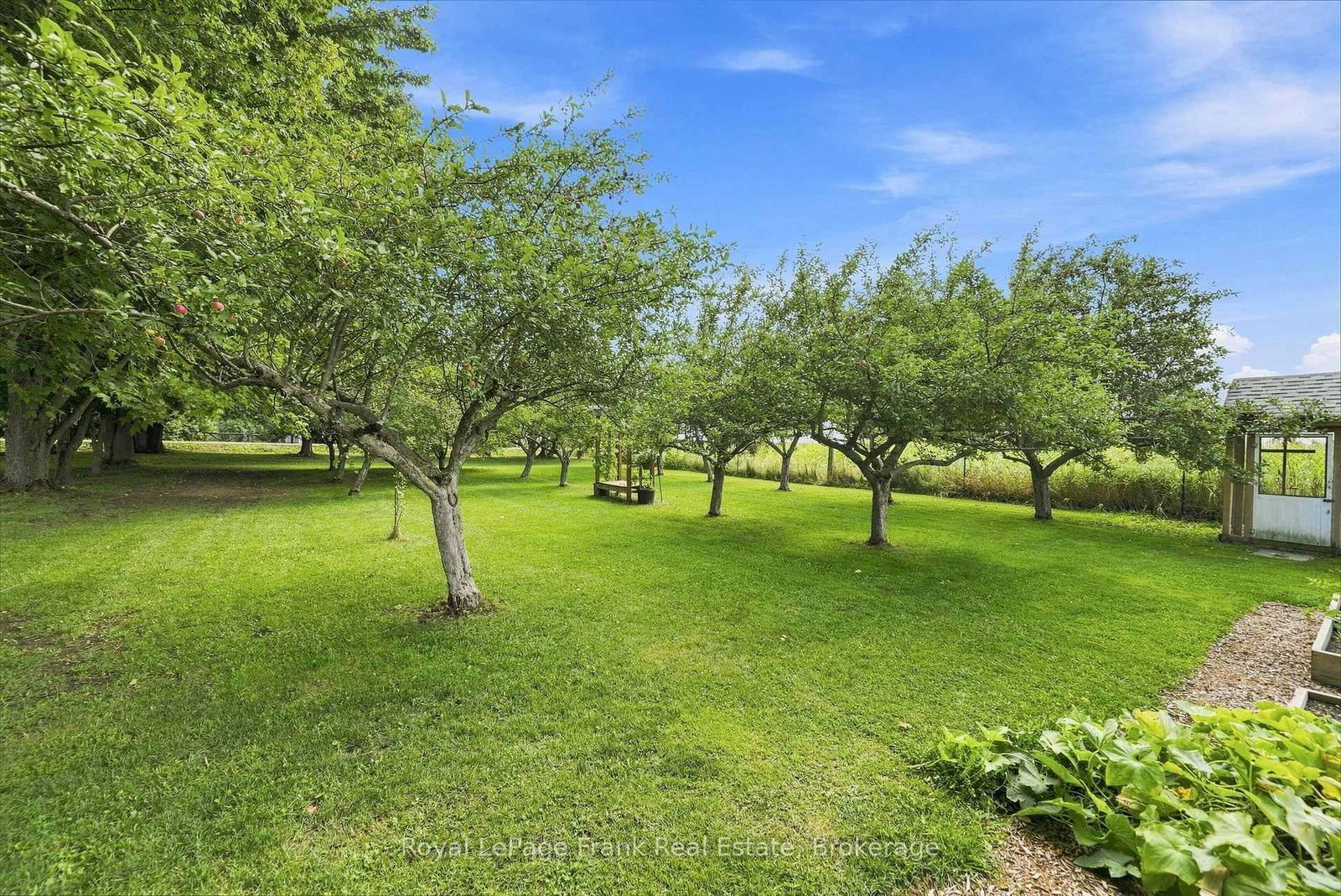 1235 Heights Road • Kawartha Lakes, ON photo 32