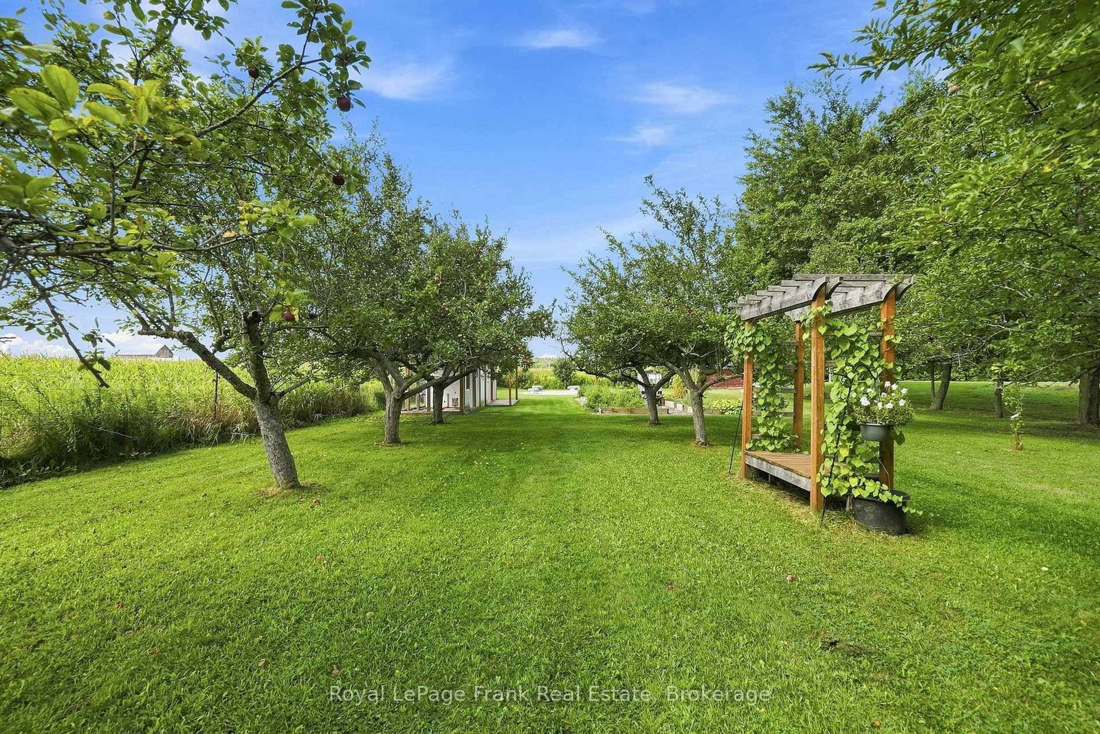 1235 Heights Road • Kawartha Lakes, ON photo 33