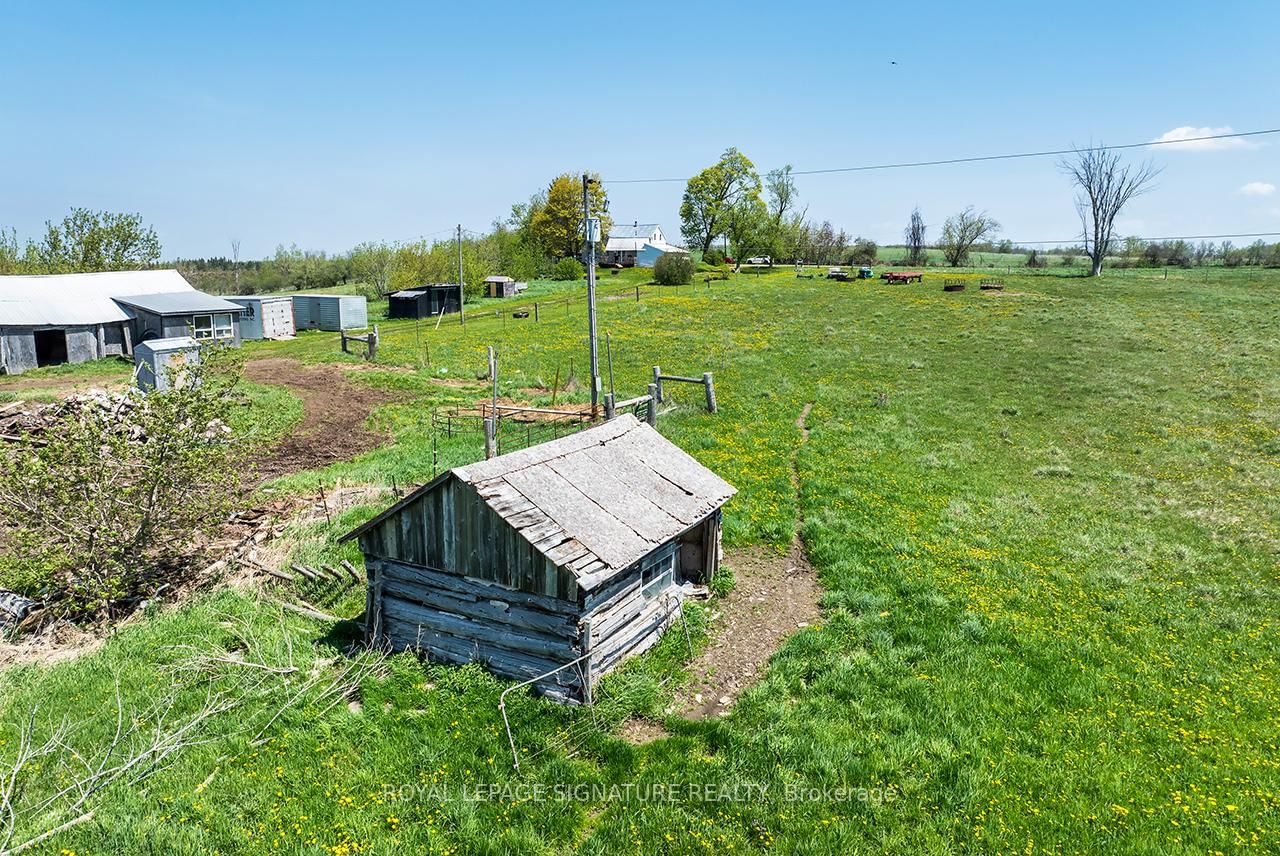 1007 Moor Road • Kawartha Lakes, ON photo 39