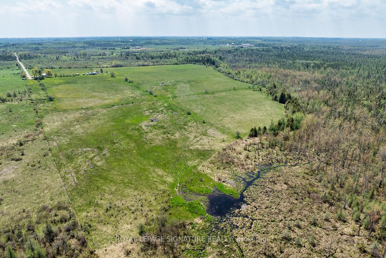 1007 Moor Road • Kawartha Lakes, ON photo 4
