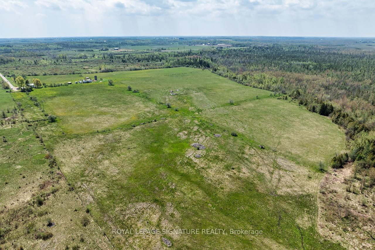 1007 Moor Road • Kawartha Lakes, ON photo 43