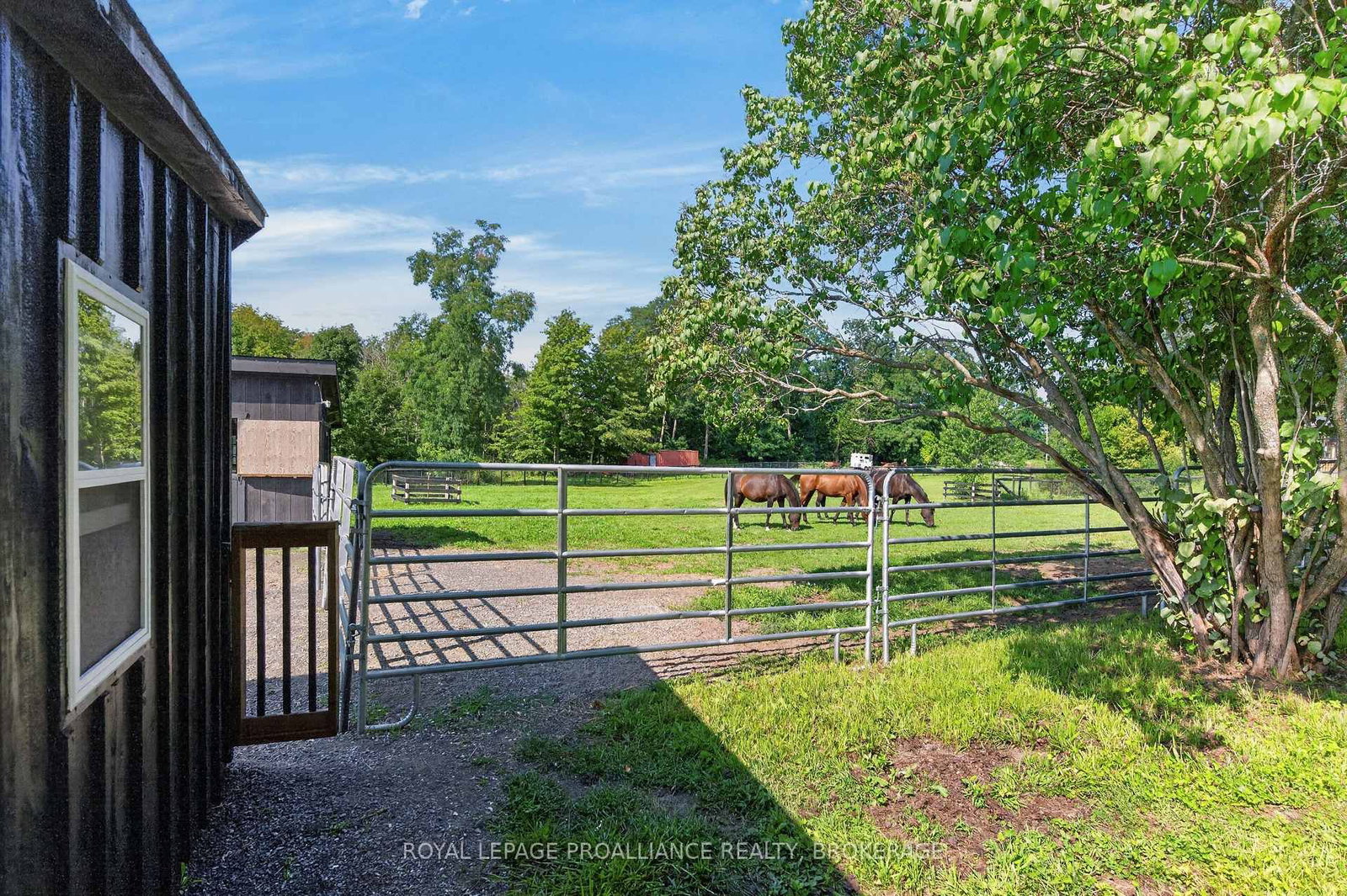 1103 County Road 2 • Augusta, ON photo 36