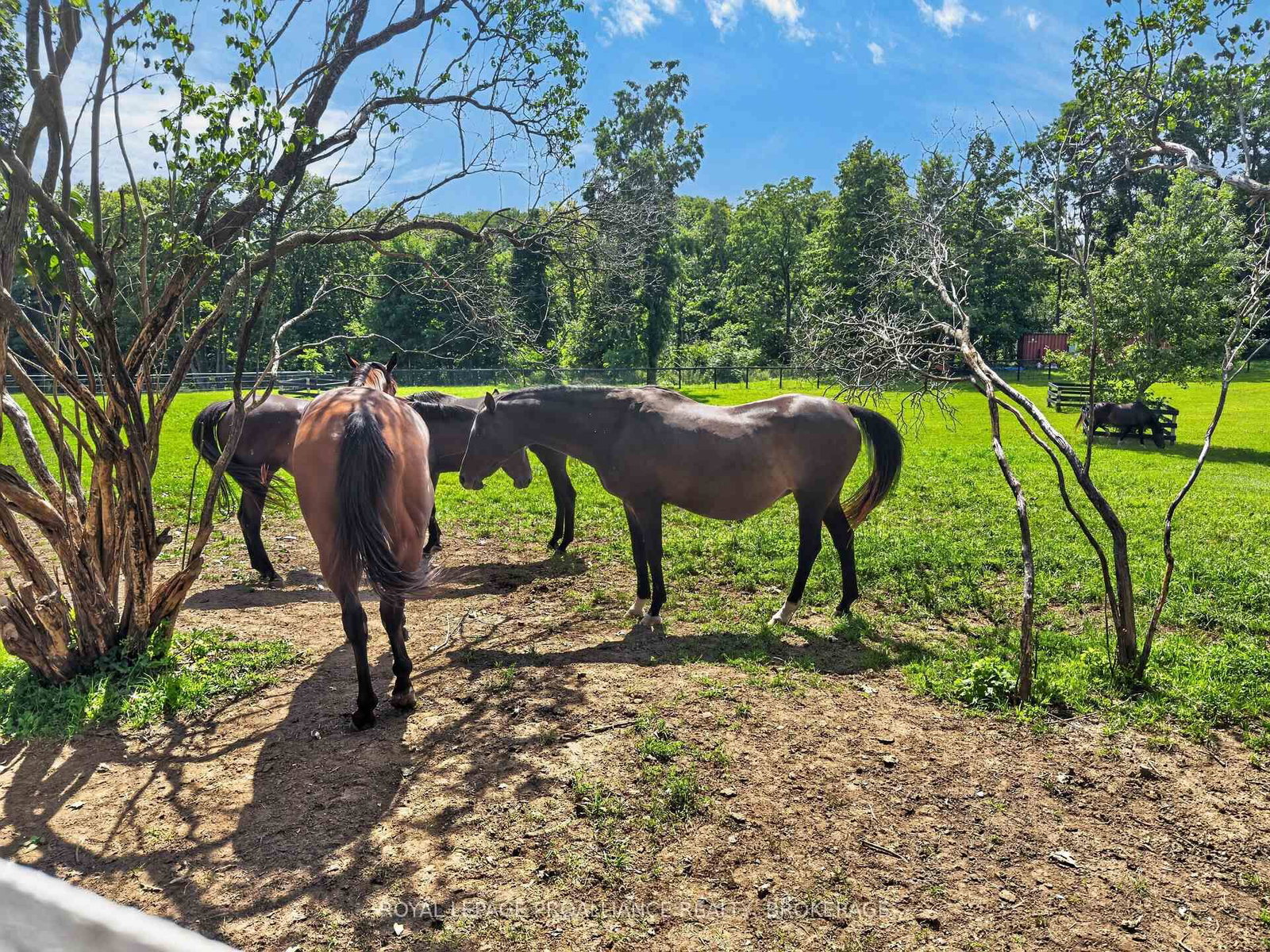 1103 County Road 2 • Augusta, ON photo 38