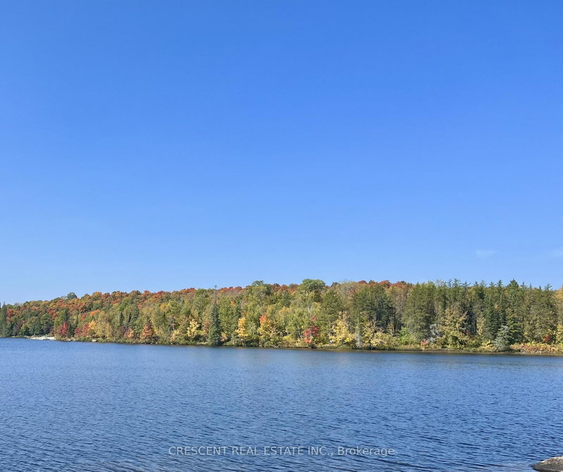 3B Jack's Lake Road