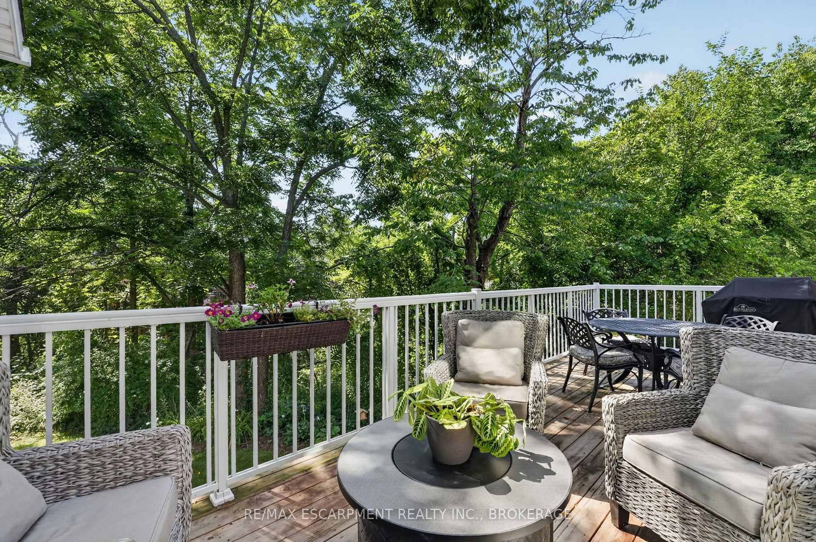 3 Black Walnut Common • St. Catharines, ON photo 32