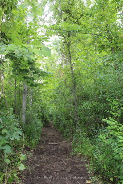 0 Fife's Bay Road • Selwyn, ON photo 4