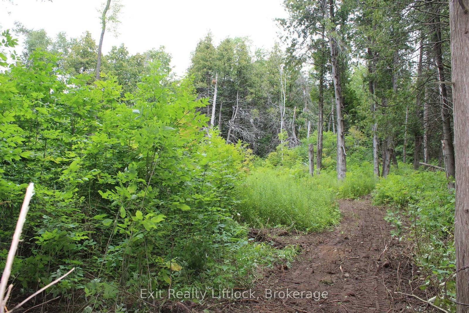 0 Fife's Bay Road • Selwyn, ON photo 8