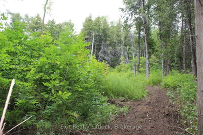 0 Fife's Bay Road • Selwyn, ON photo 8