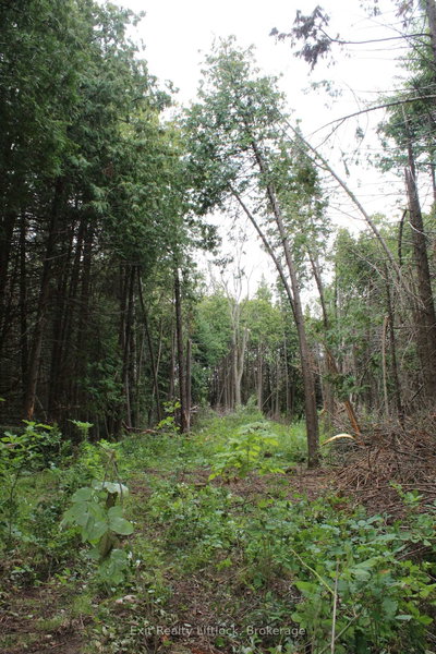 0 Fife's Bay Road • Selwyn, ON photo 9