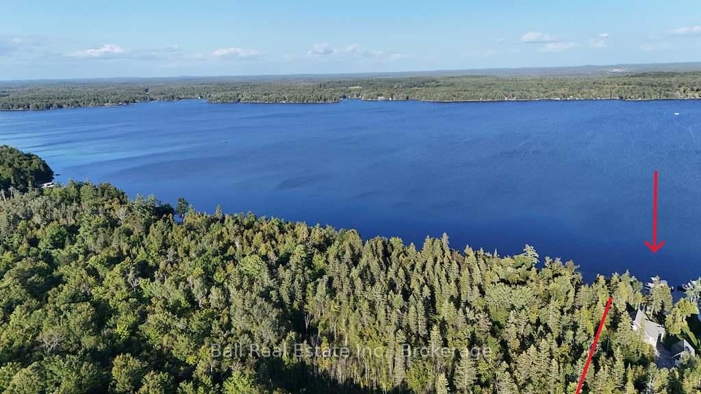 31 Beaver Drive • Kawartha Lakes, ON photo 39