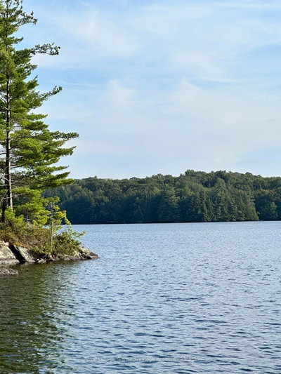 94 CRANE LAKE W/A • The Archipelago, ON photo 6