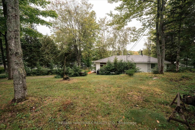 1124 Comfort Drive