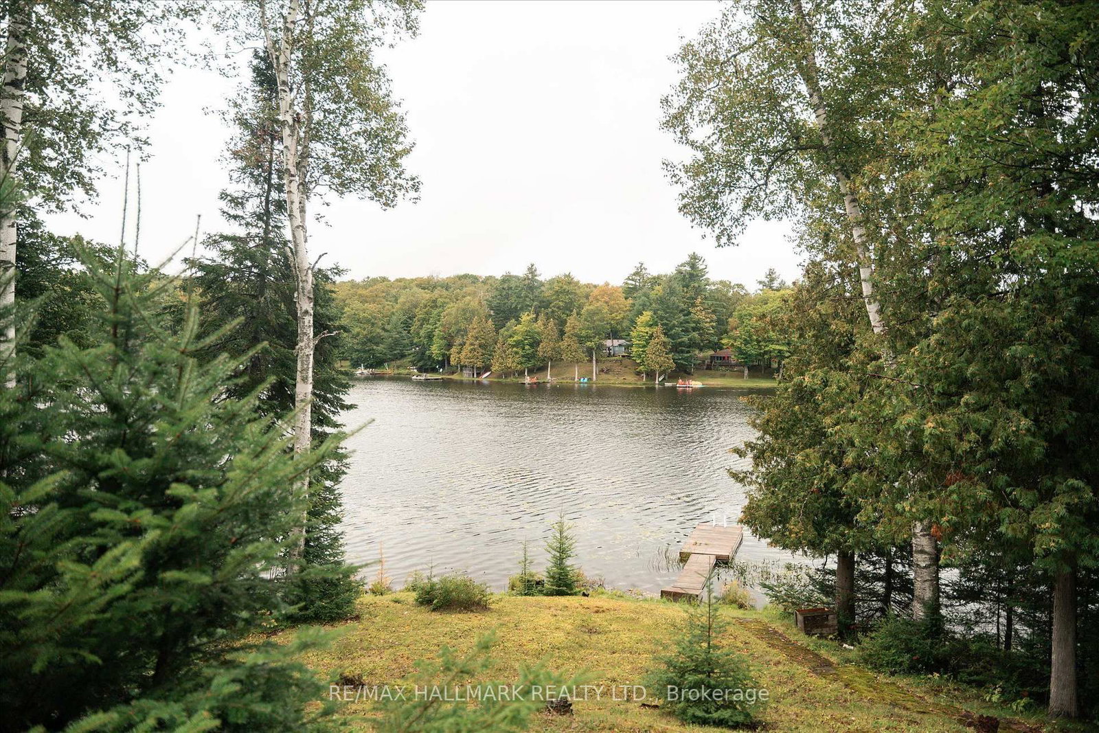 1124 Comfort Drive • Highlands East, ON photo 26