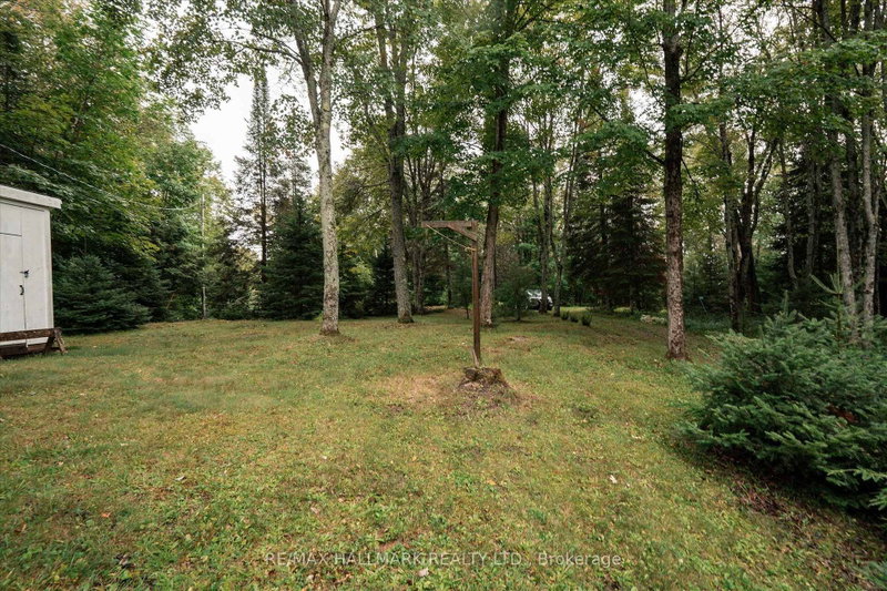 1124 Comfort Drive