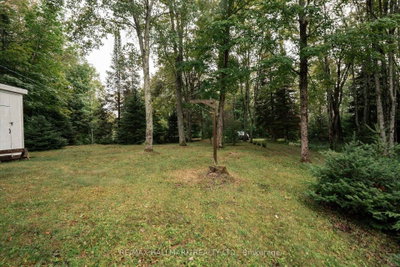 1124 Comfort Drive • Highlands East, ON photo 3