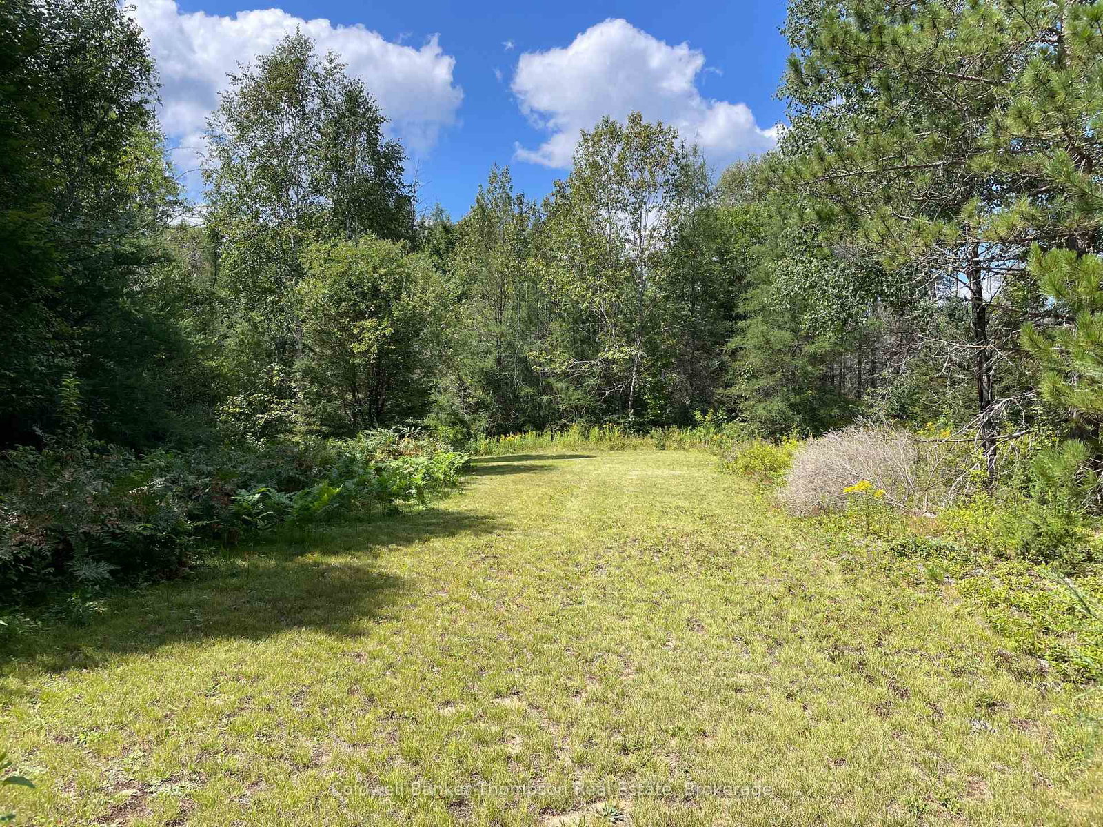 458 Leighton Road • Machar, ON photo 42