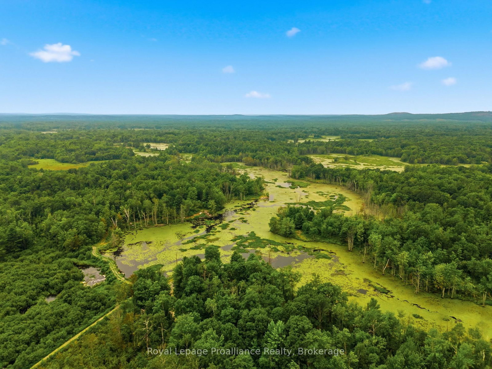 1519 Rockies Road • Madoc, ON photo 49