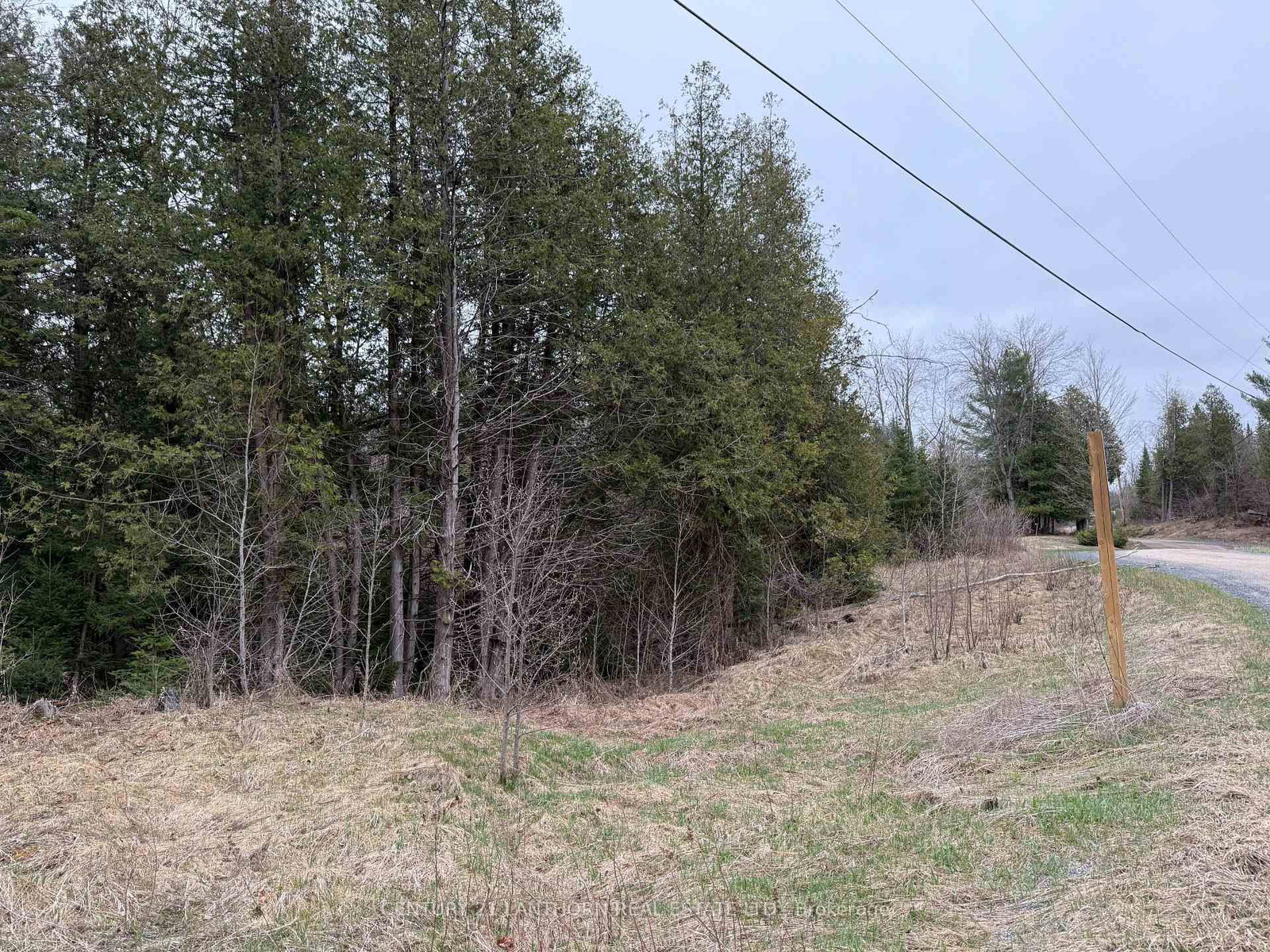885 Cleveland Road • Madoc, ON photo 12