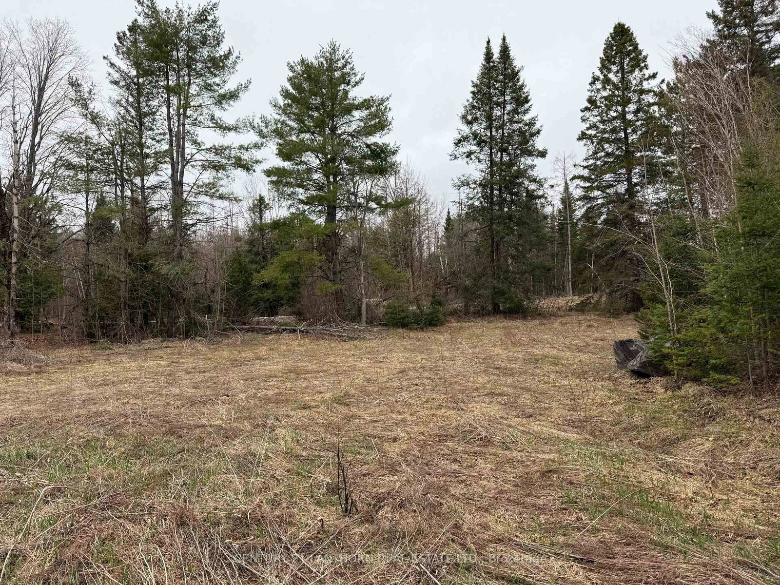 885 Cleveland Road • Madoc, ON photo 8