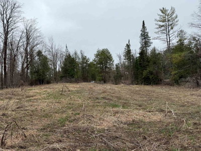 885 Cleveland Road • Madoc, ON photo 9