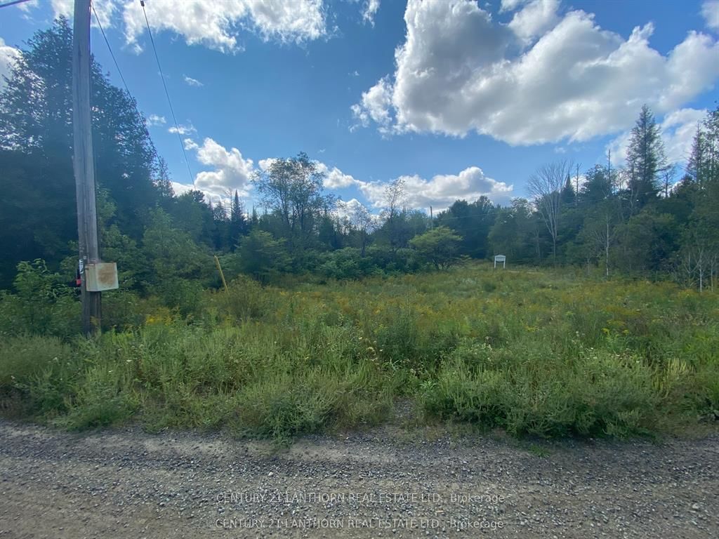 0 Stoney Settlement Road • Madoc, ON photo 21