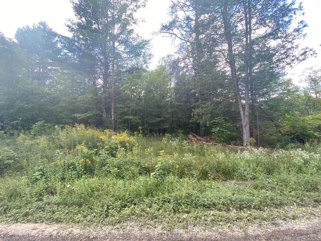 0 Stoney Settlement Road • Madoc, ON photo 5