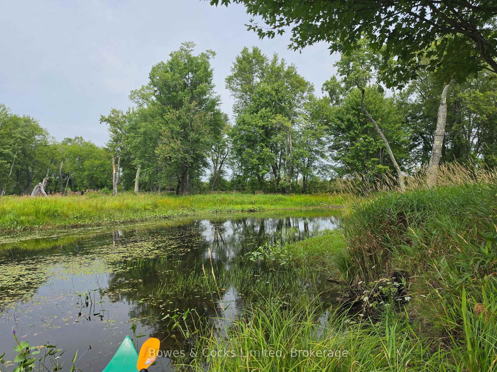 E 1/2 OF W 1/2 Concession 12 • North Kawartha, ON photo 1