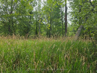 E 1/2 OF W 1/2  Concession 12 • North Kawartha, ON photo 4