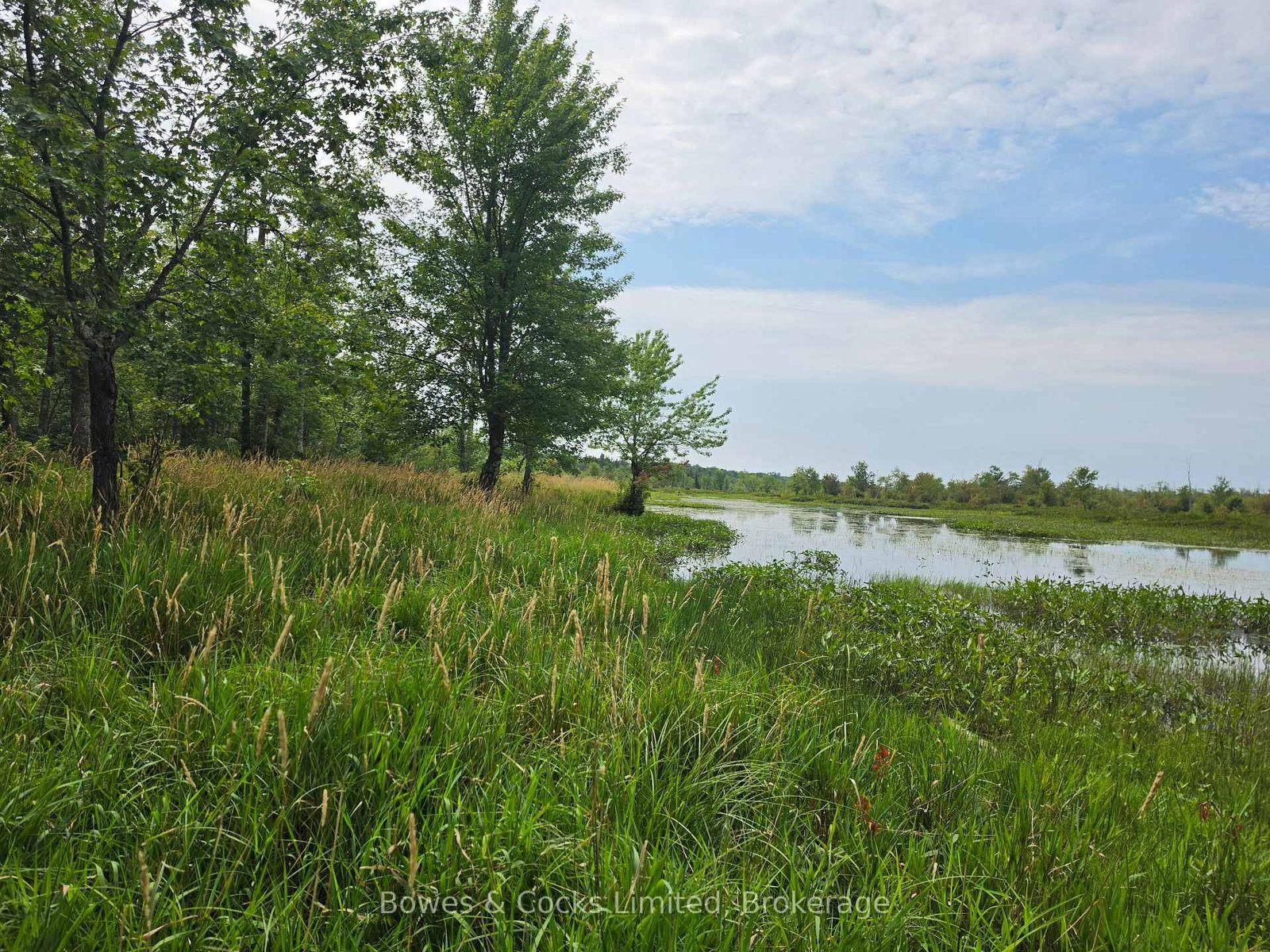 E 1/2 OF W 1/2 Concession 12 • North Kawartha, ON photo 5