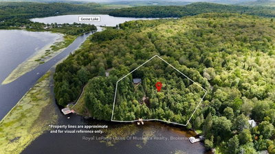 215 Sandwood Drive • Ryerson, ON photo 3