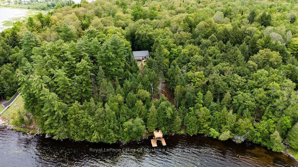 215 Sandwood Drive • Ryerson, ON photo 39