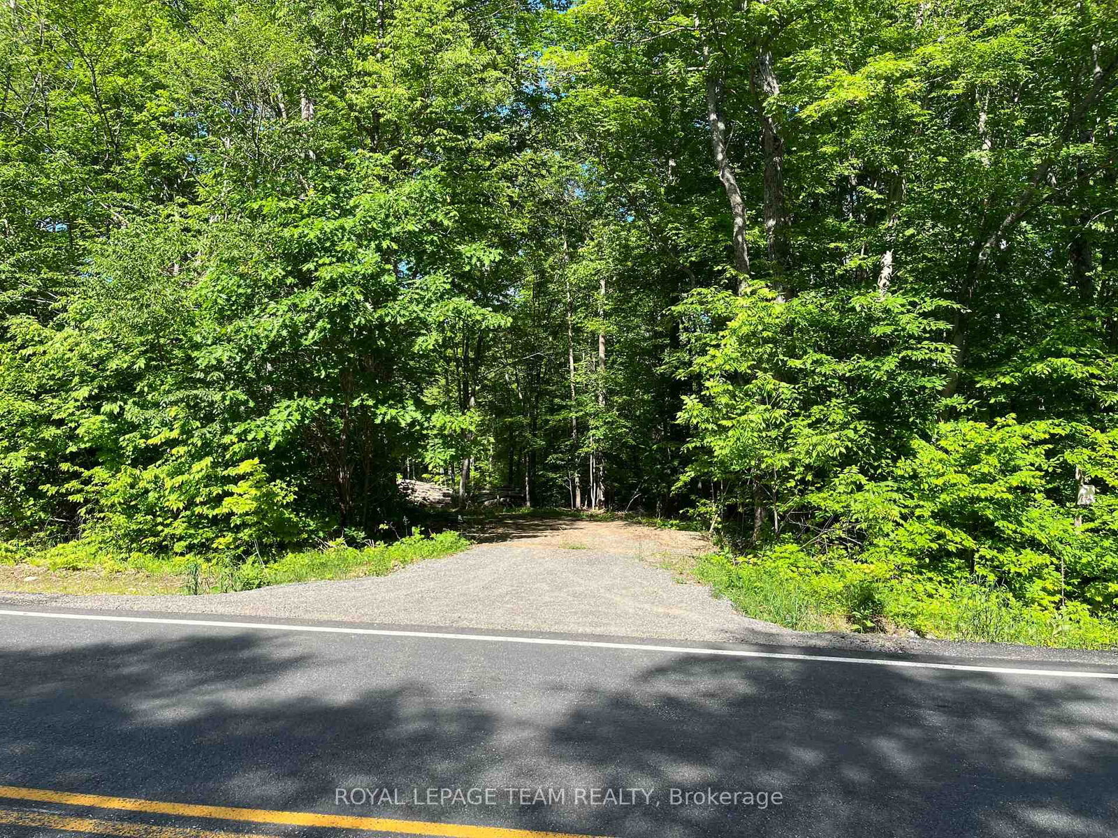 00 Siberia Road • Barry's Bay, ON photo 1