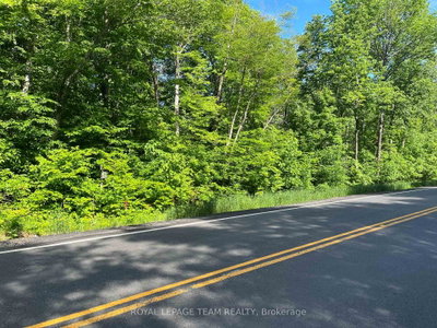 01 Siberia Road • Barry's Bay, ON photo 3