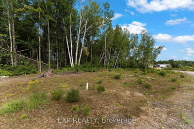 Lot 14 Birchview Drive • Barry's Bay, ON photo 5