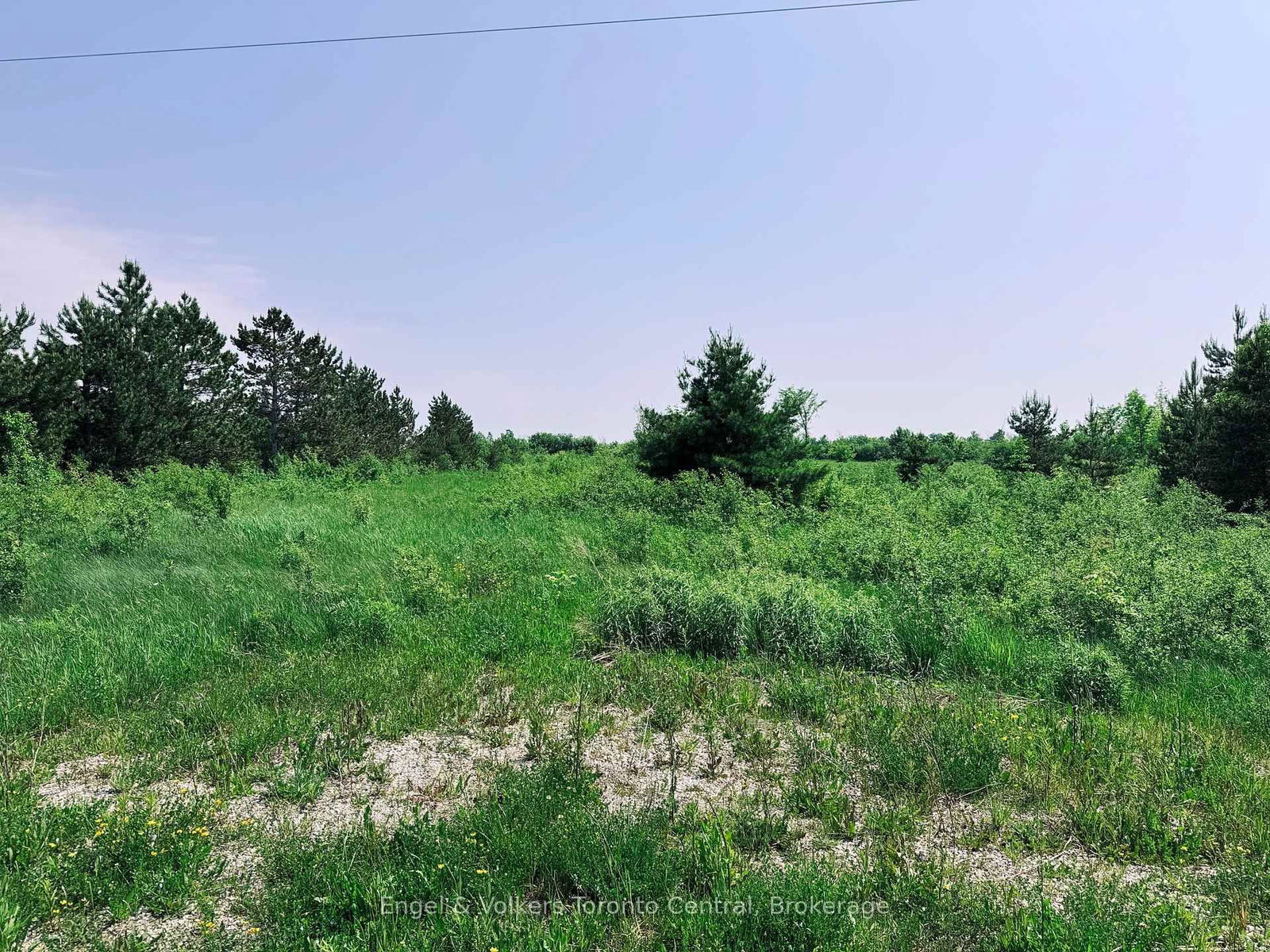 121 Robertson Avenue • Meaford, ON photo 4