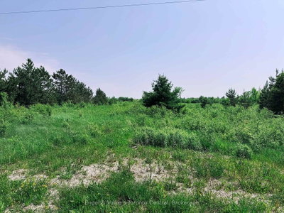 121 Robertson Avenue • Meaford, ON photo 4