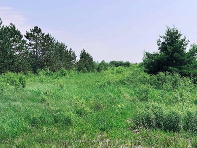 121 Robertson Avenue • Meaford, ON photo 5