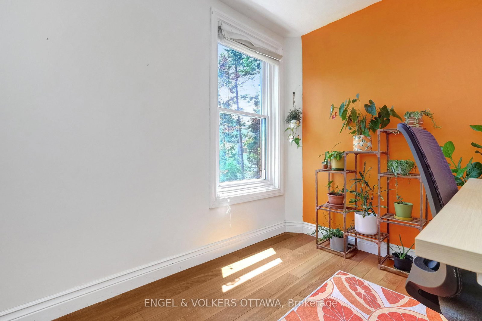 44 Newton St, Ottawa, view 31