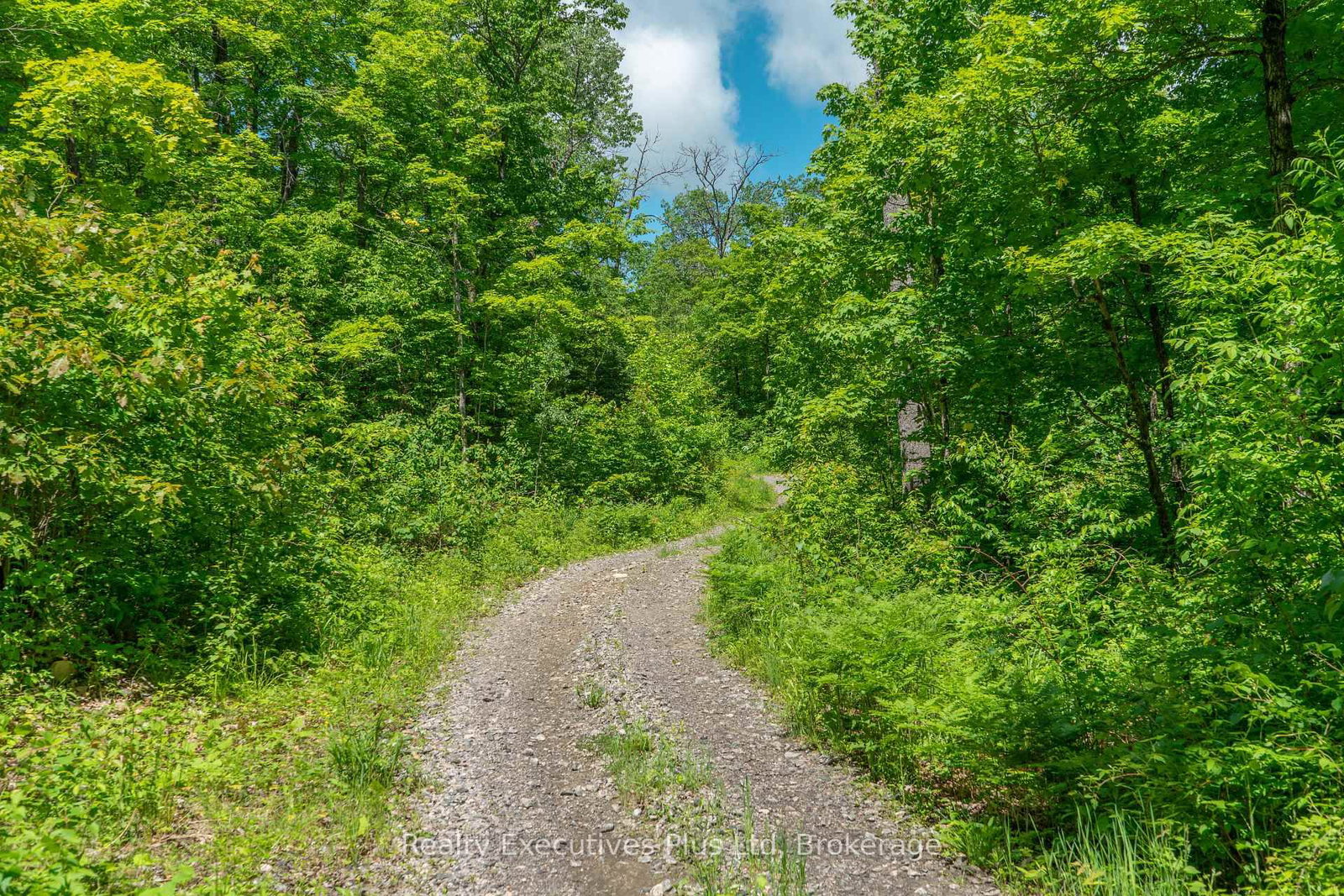 85 ladds Road • Whitestone, ON photo 8